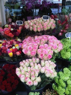 Roses